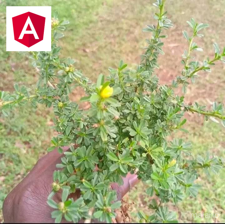 A person in a purple dress is cooking over an open fire inside a rustic kitchen with stone walls and a small window.