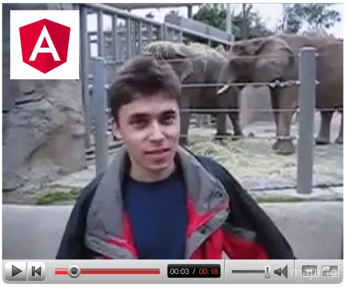 mwanzilishi mwenza wa YouTube Karim mwenye umri wa miaka 25 wakati huo katika Zoo ya San Diego akizungumza kuhusu